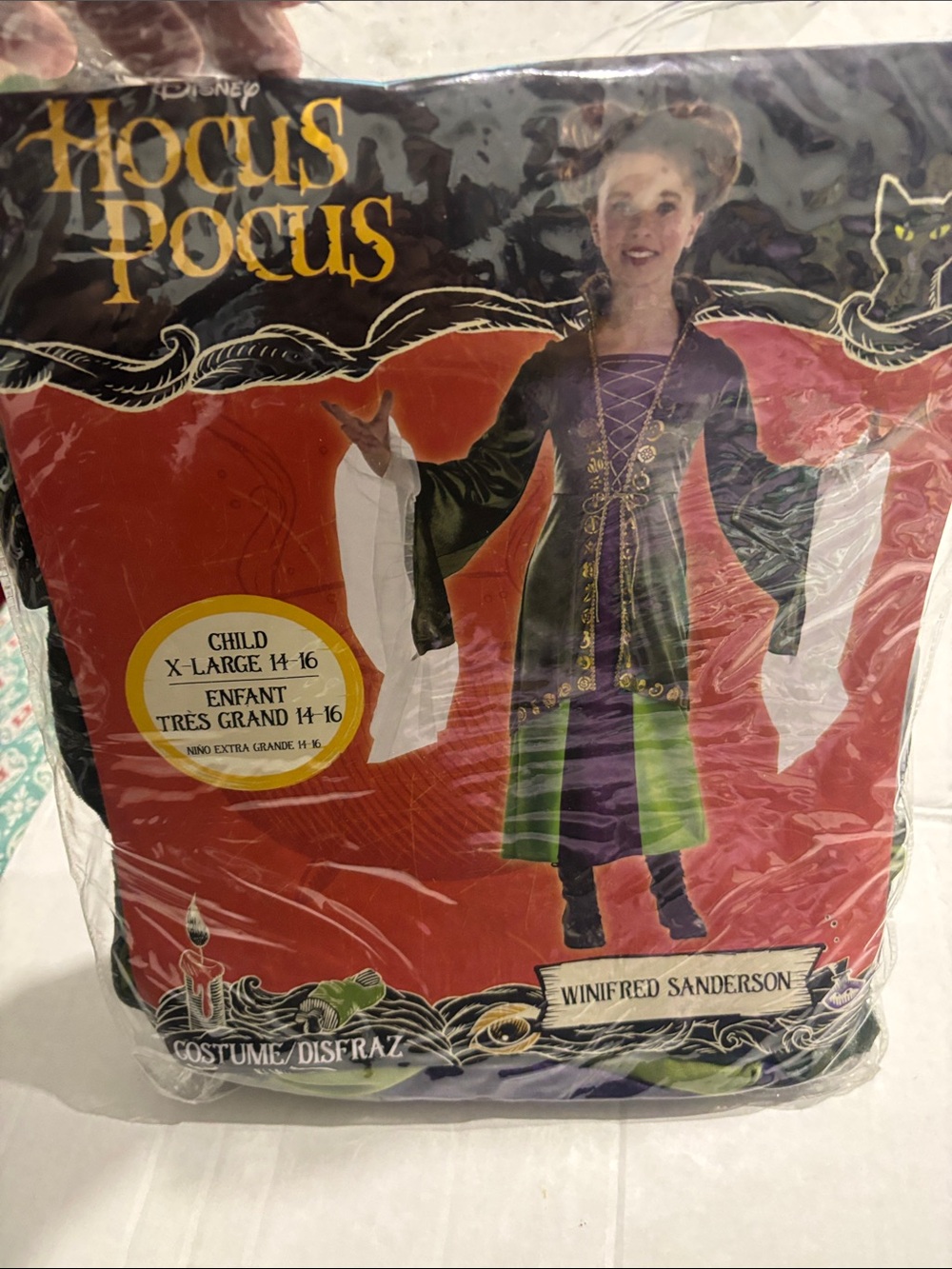 Disney Winifred Sanderson Costume - Green, Purple & Gold